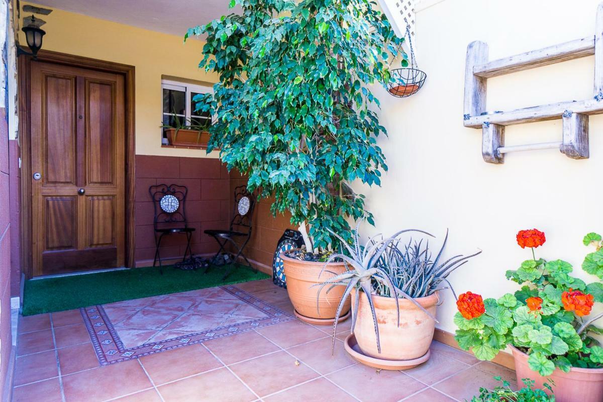 Rooms In El Medano מראה חיצוני תמונה